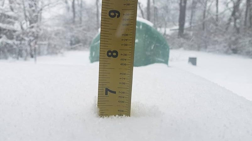 Winter Greenhouse Growing Guide: How to Protect Plants in Heavy Snow States (2024)