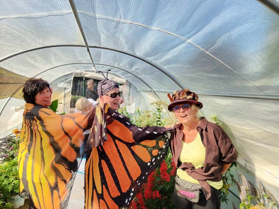 The Remarkable Journey of Monarch Butterflies: Understanding Their Migration and How You Can Help