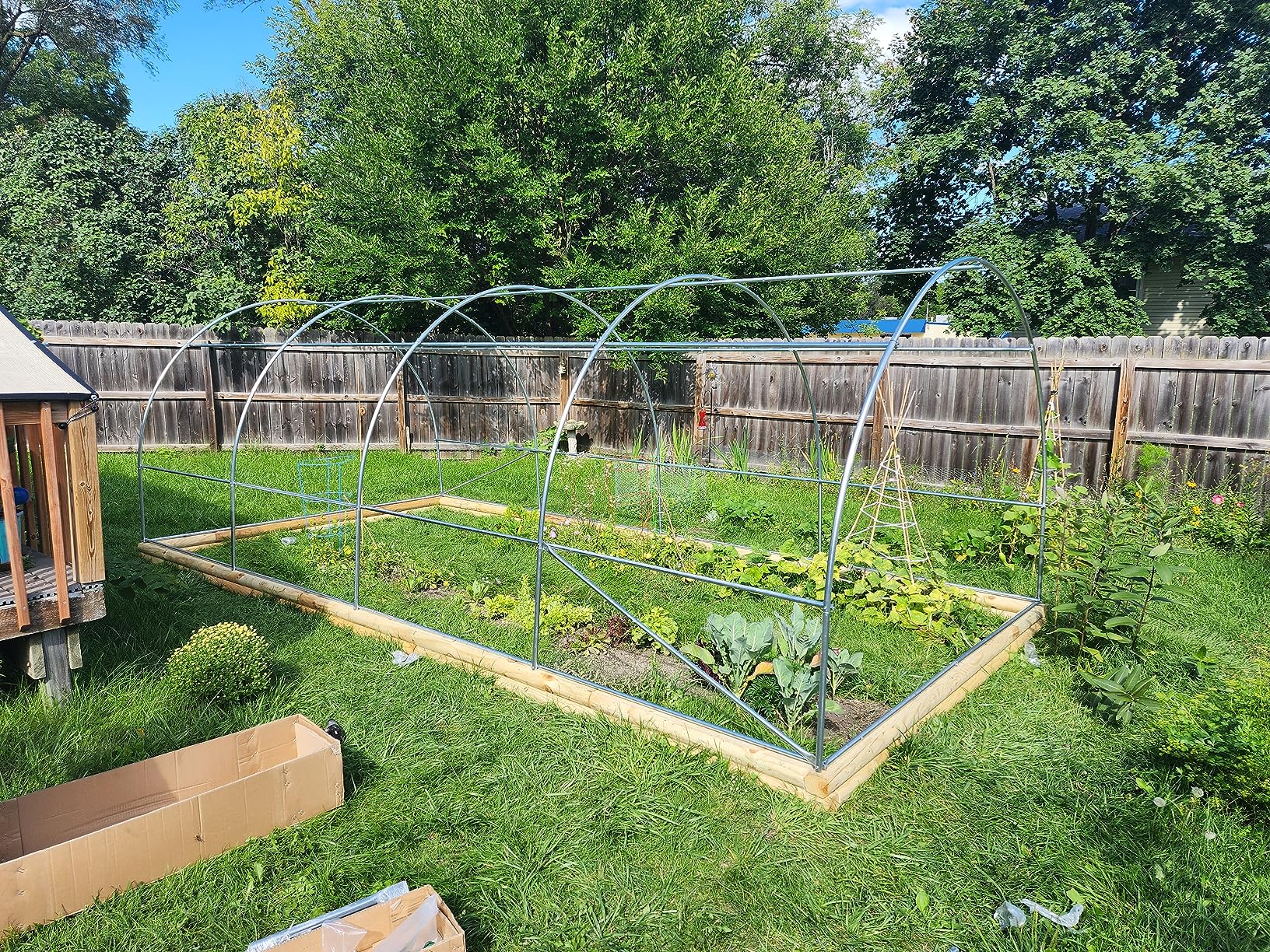 Top 10 Mistakes First-Time Gardeners Make