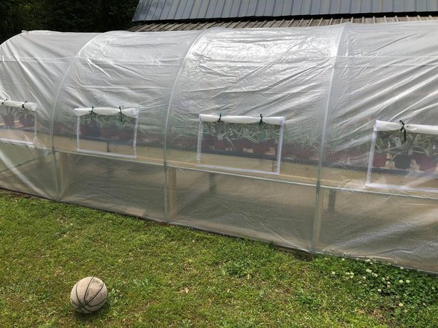 Strengthened Quictent 20' x 10' x 7' Upgraded Large Greenhouse with Clear Cover