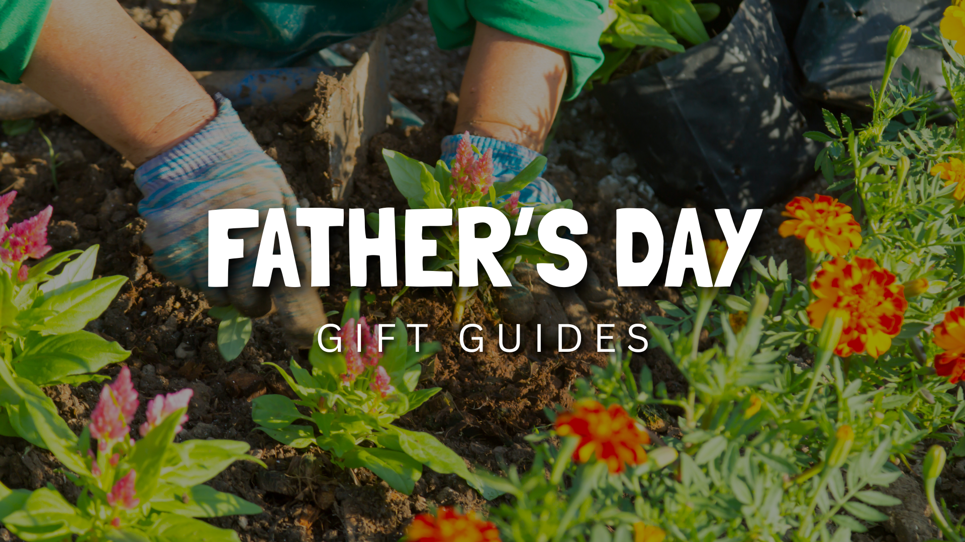 Father's Day Gardening Gift Guide: Practical Tools & Accessories Pick