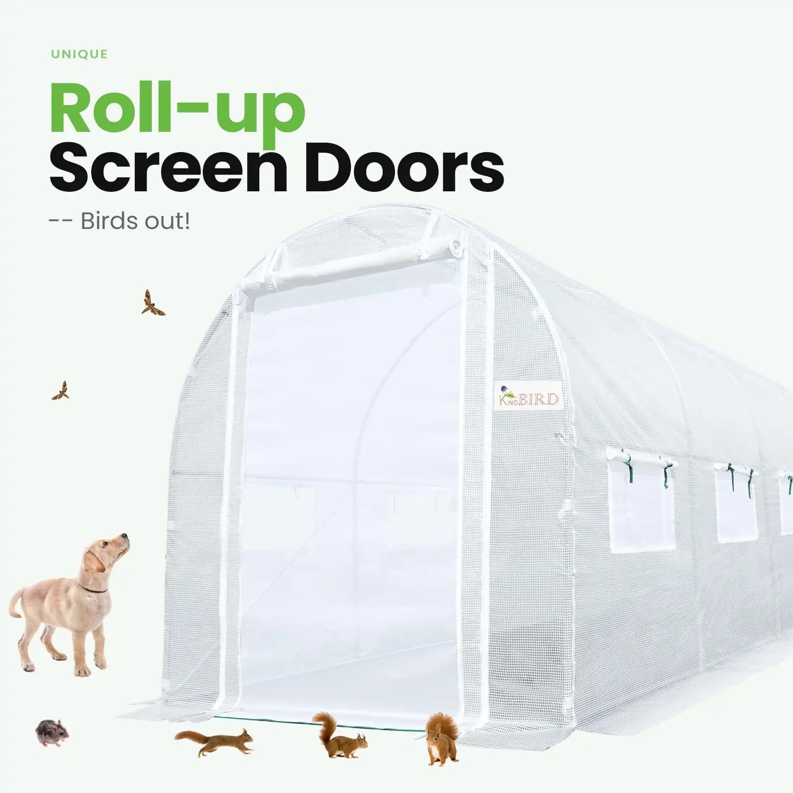 keep birds out#color_white