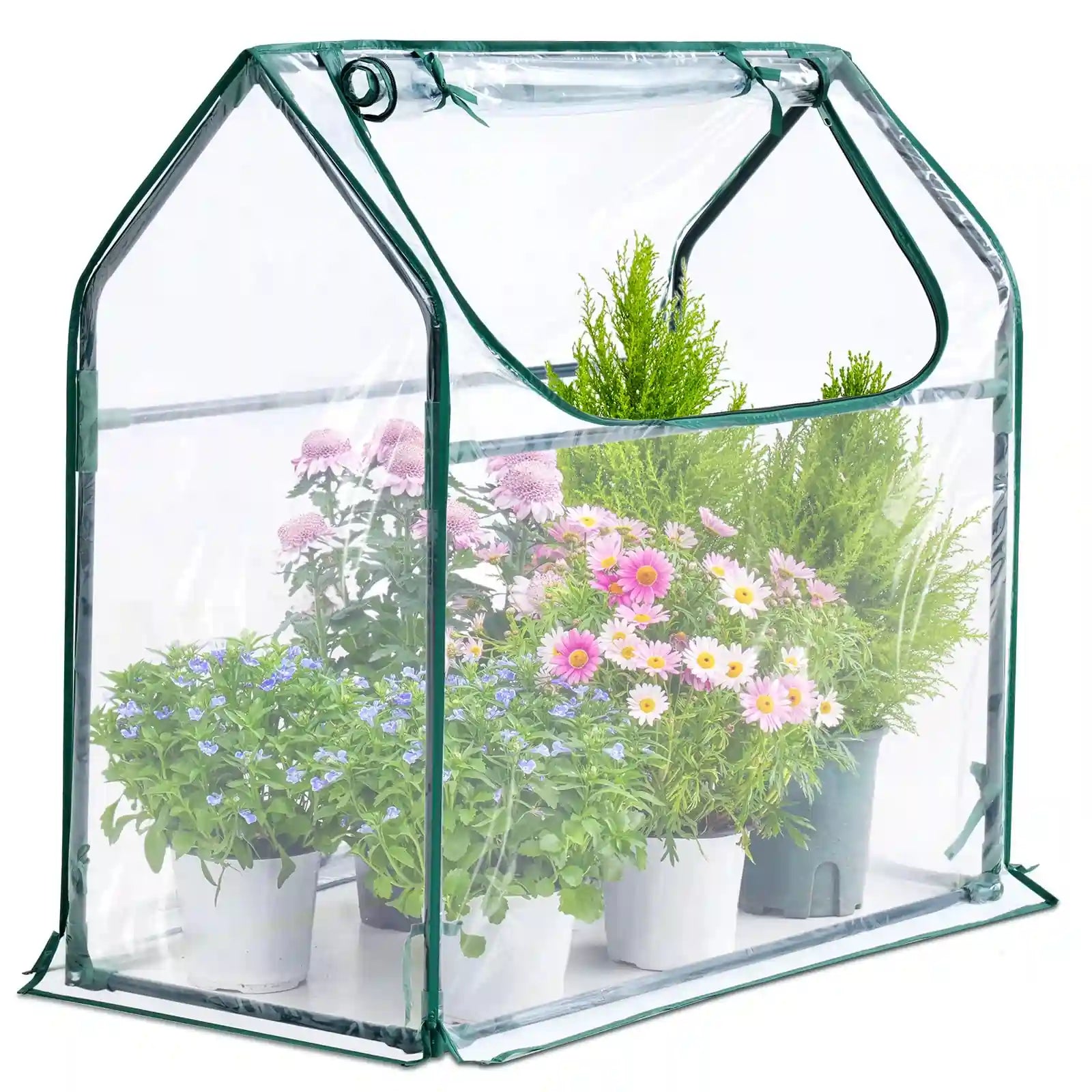 36" x 18" x 33" Mini Greenhouse Clear