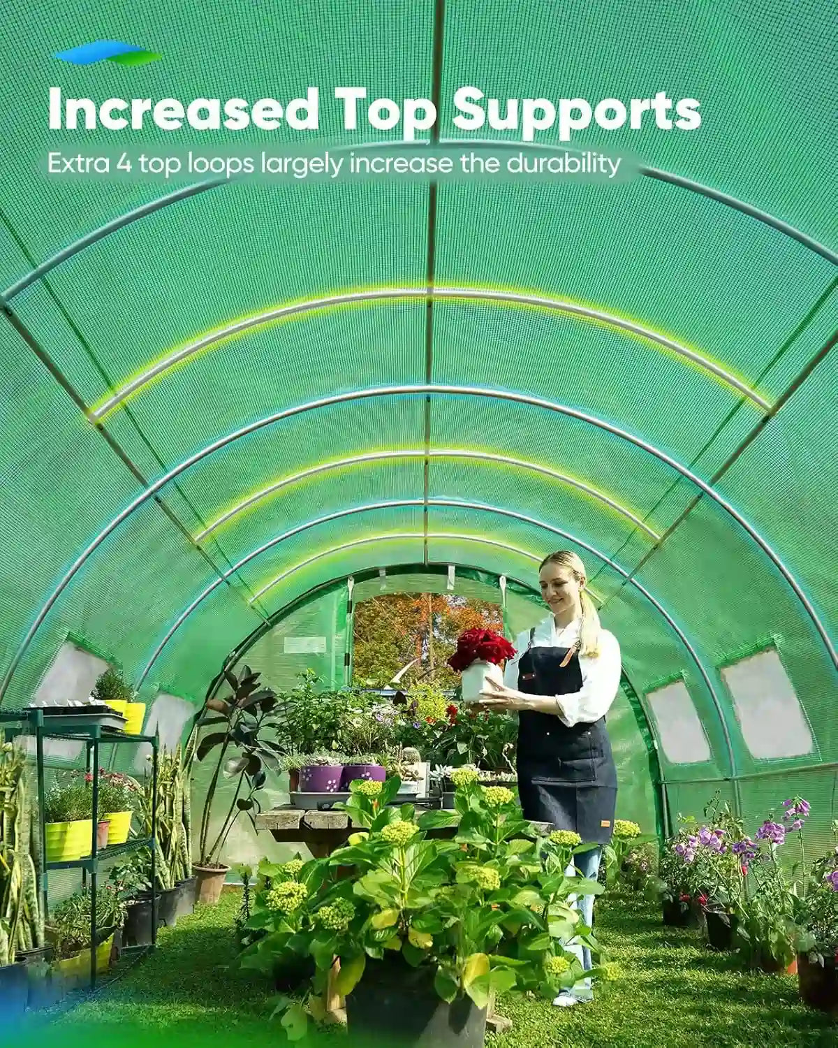 Quictent 20x10x6.6 FT Heavy Duty Walk-In Greenhouse for Outdoors, Reinforced Top Hoop Tunnel Greenhouse with Dual Doors, Large Winter Greenhouse for Garden Backyard Plants