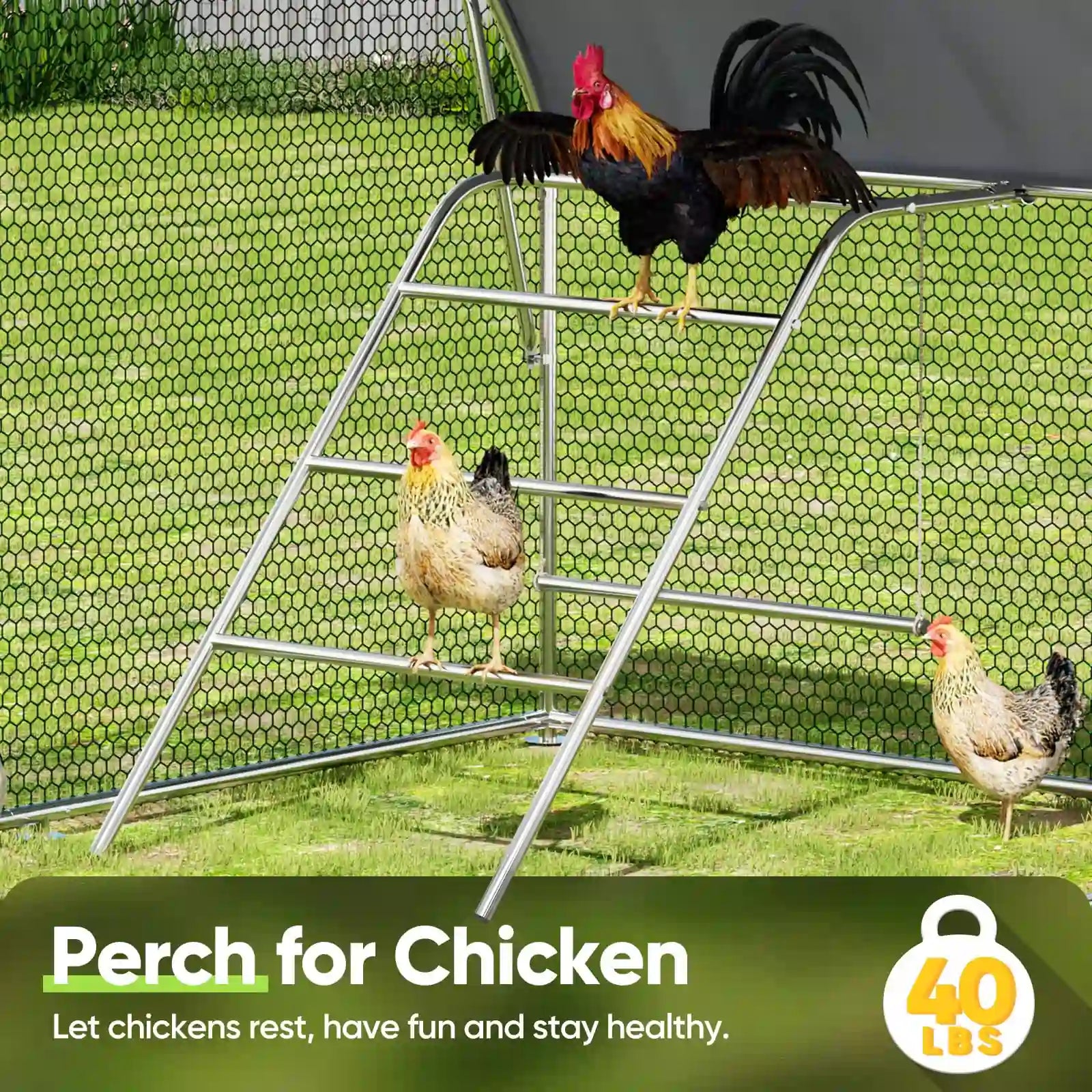Perch for chicken#size_13x10FT with Ladder+Swing