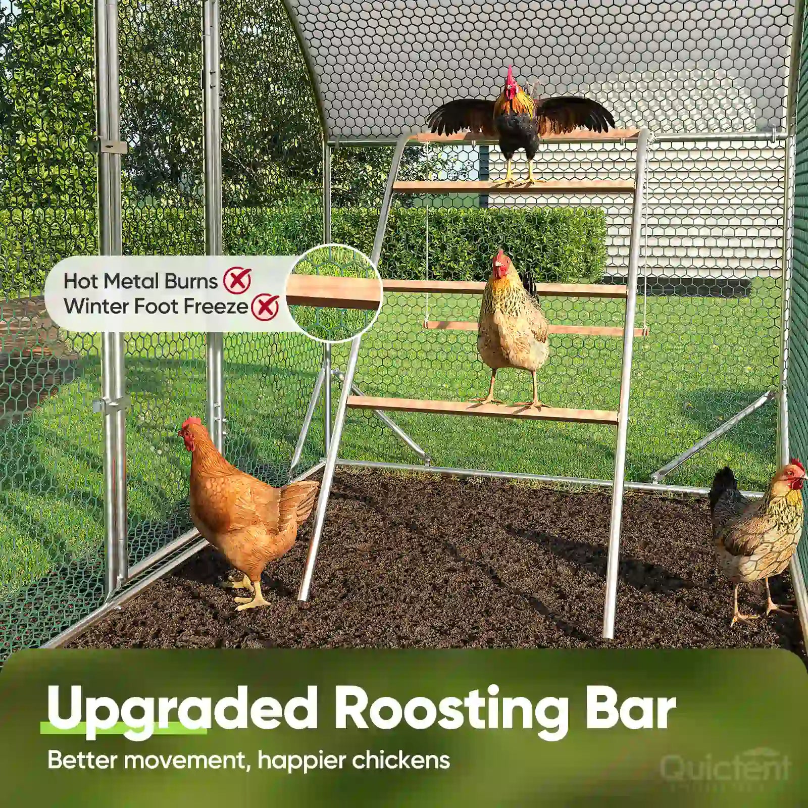 Built-In Roosting Ladder & Swing Set#size_6.5x9FT with Ladder+Swing