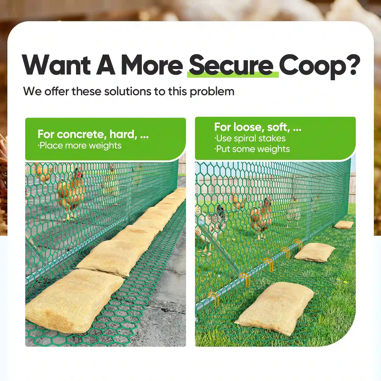 chicken coop secure solutions weights and spiral stakes#size_6.5x9FT with Ladder+Swing