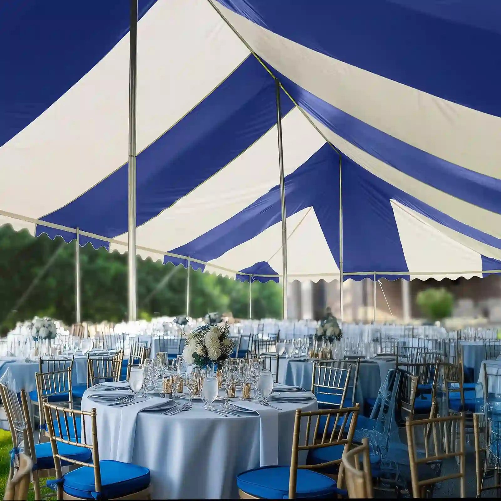 perfect for residential or commercial use#size_20x40ft-Striped Blue