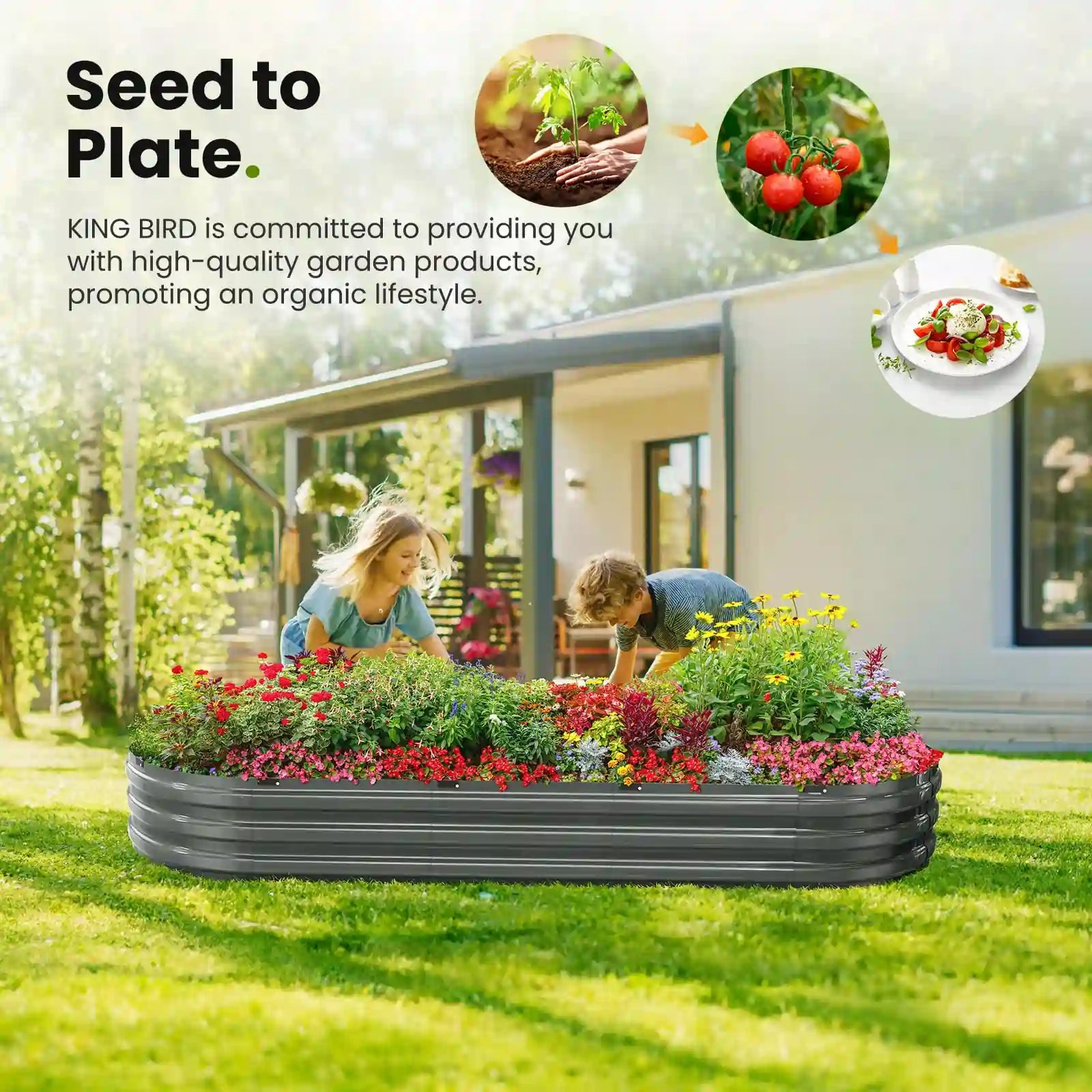 KING BIRD Screwless Raised Garden Bed 8x3x1ft seed to plate#size_8x3x1ft