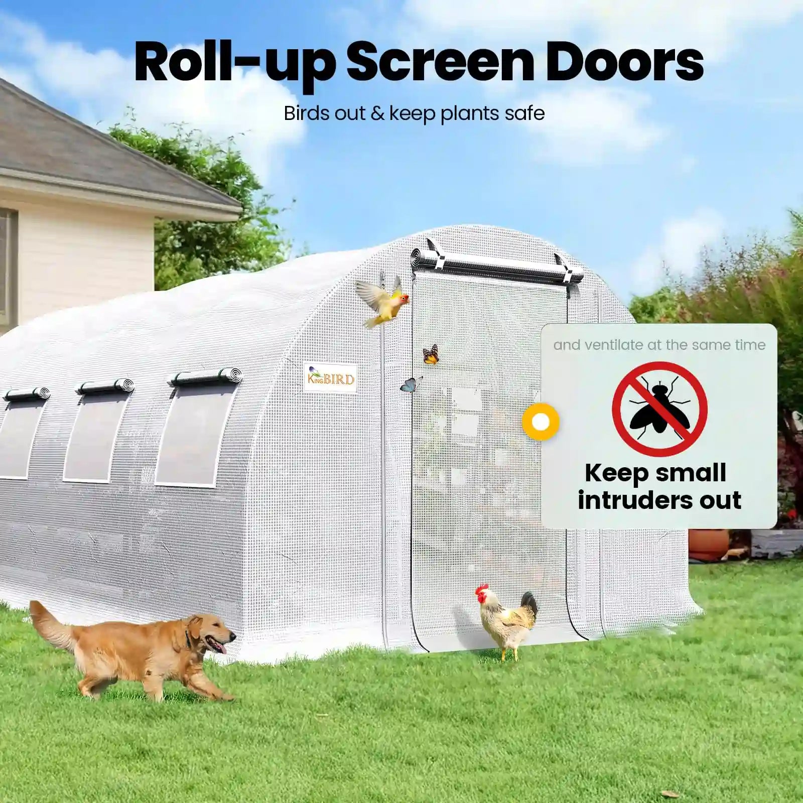 Keep birds out and plants safe#color_20ft-White