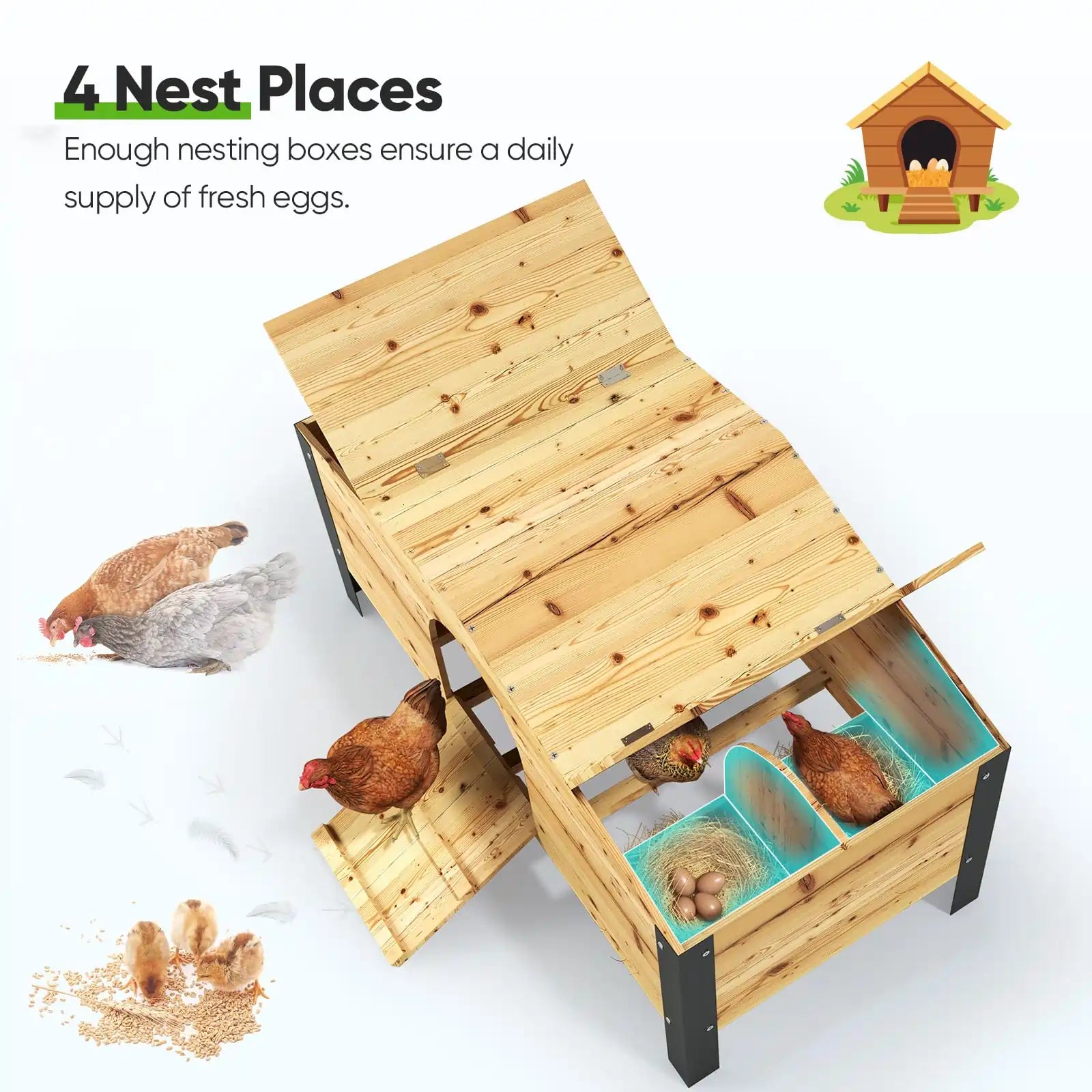Wooden Nesting Box#size_12x9FT WireMesh-with NestBox