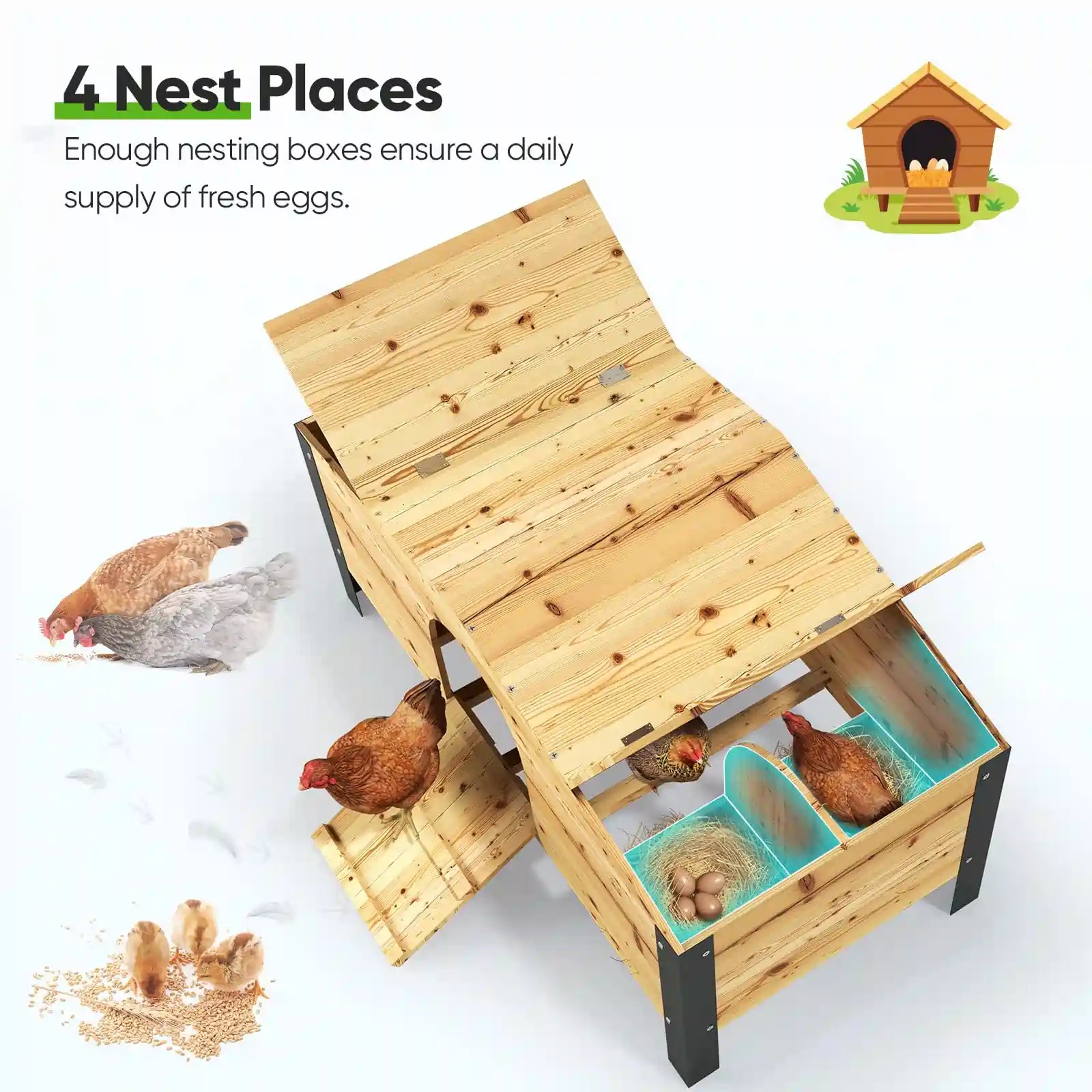 a secure and comfortable Wooden Nesting Box#size_18x9FT WireMesh-with NestBox