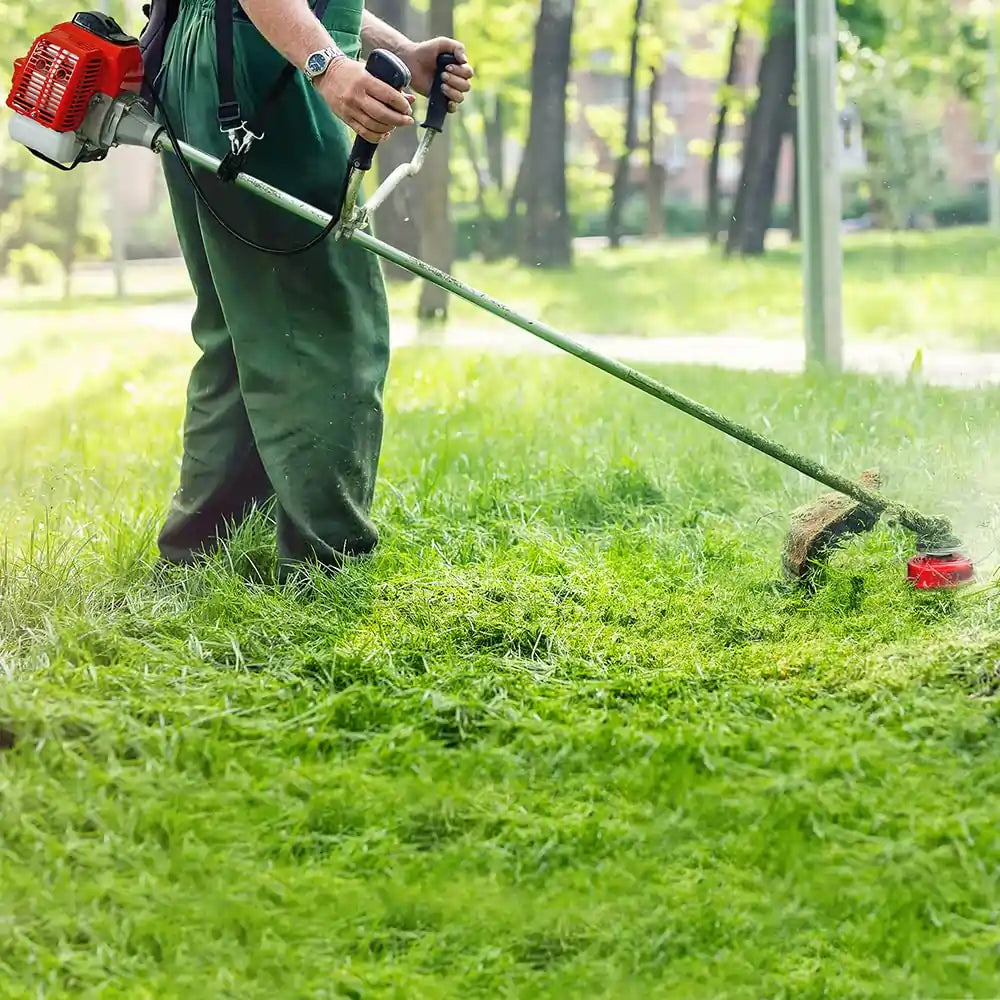 Weed Eater
#style_5-in-1 saw head