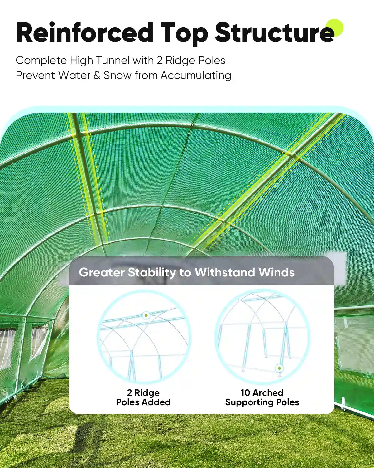 Reinforced Top Structure#color_green