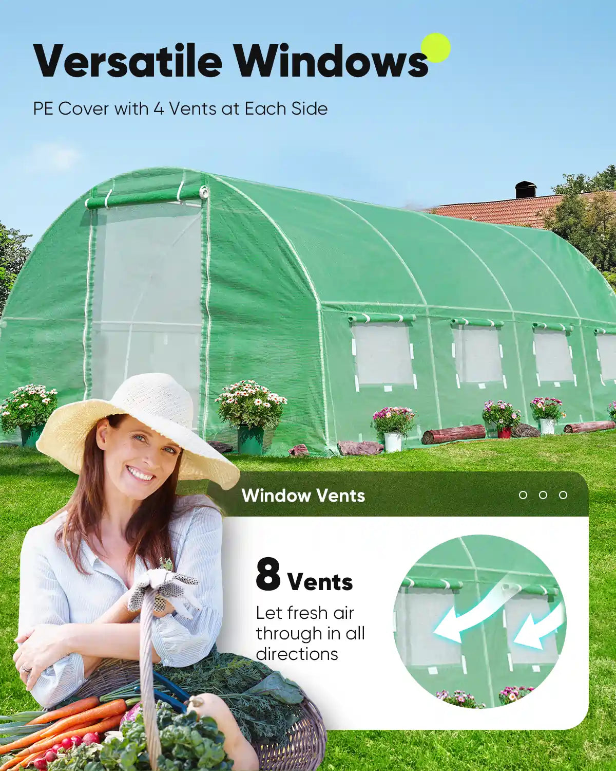 Versatile Windows#color_green