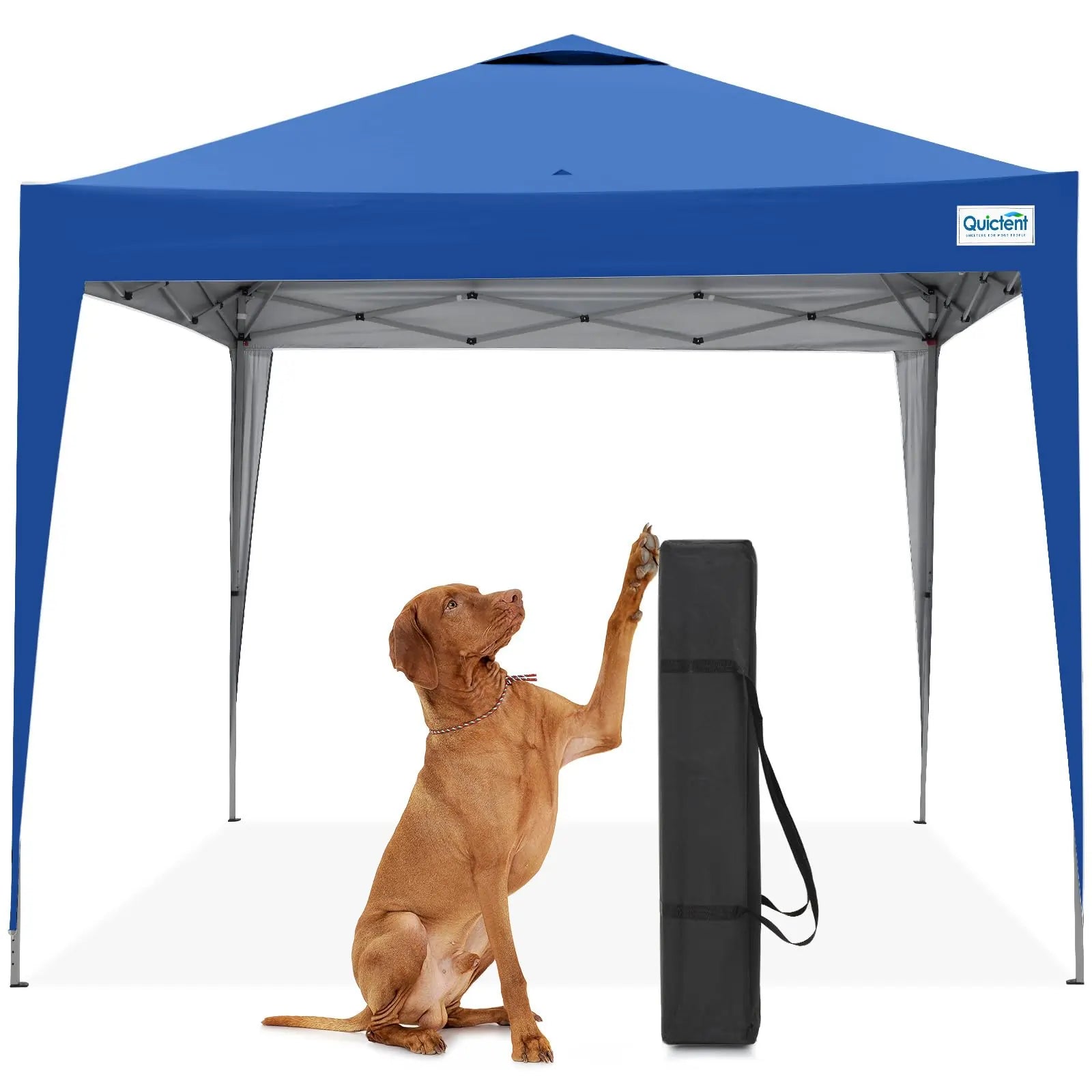 10x10 Pop Up Canopy Tent blue without Sidewall#color_Blue-with Vent