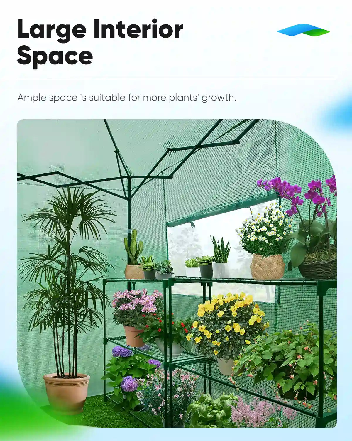 Suitable for most plants, vegetables, fruit saplings, or flowers#size_8x6ft-Green