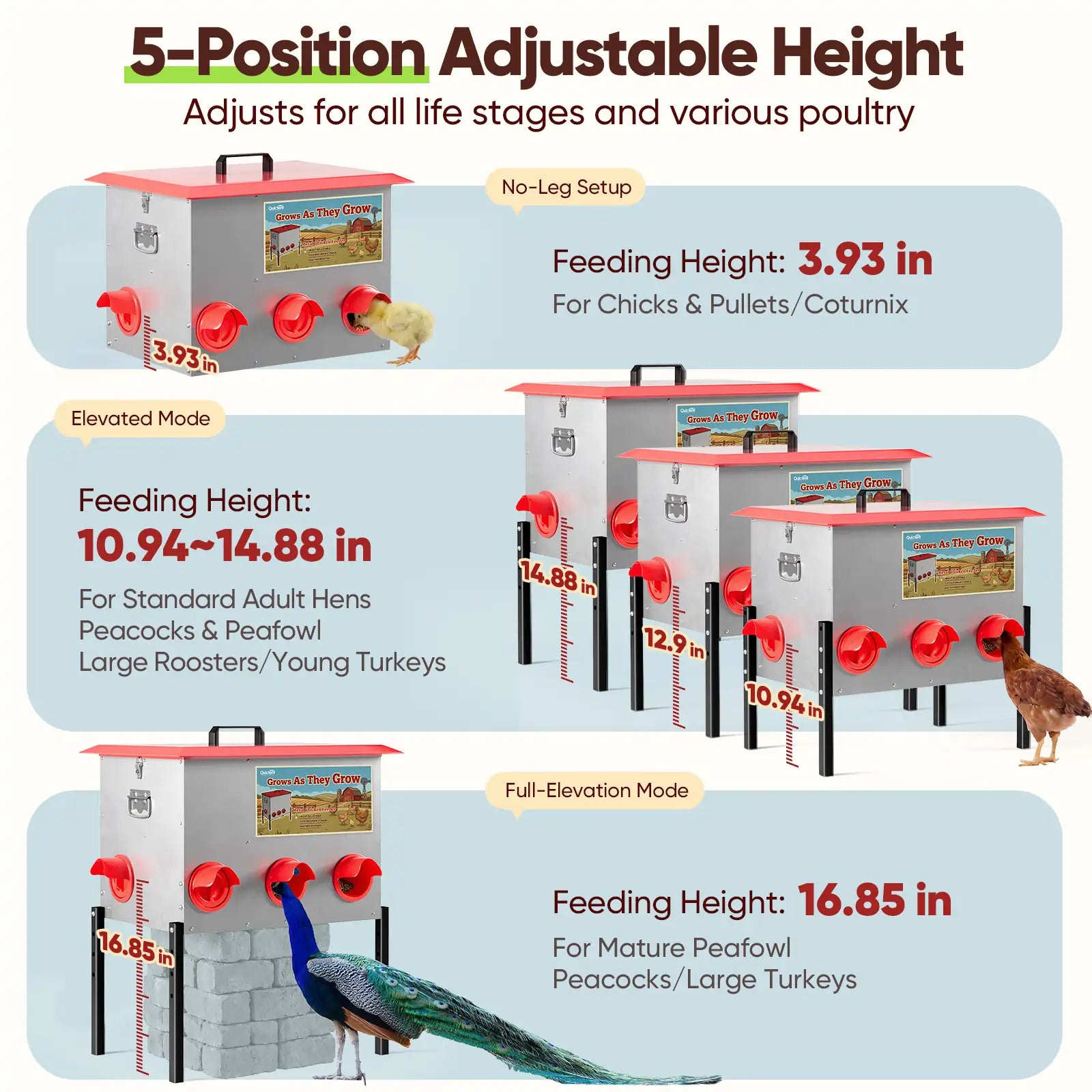5-position adjustable poultry feeder in three height settings#size_50-80 lbs