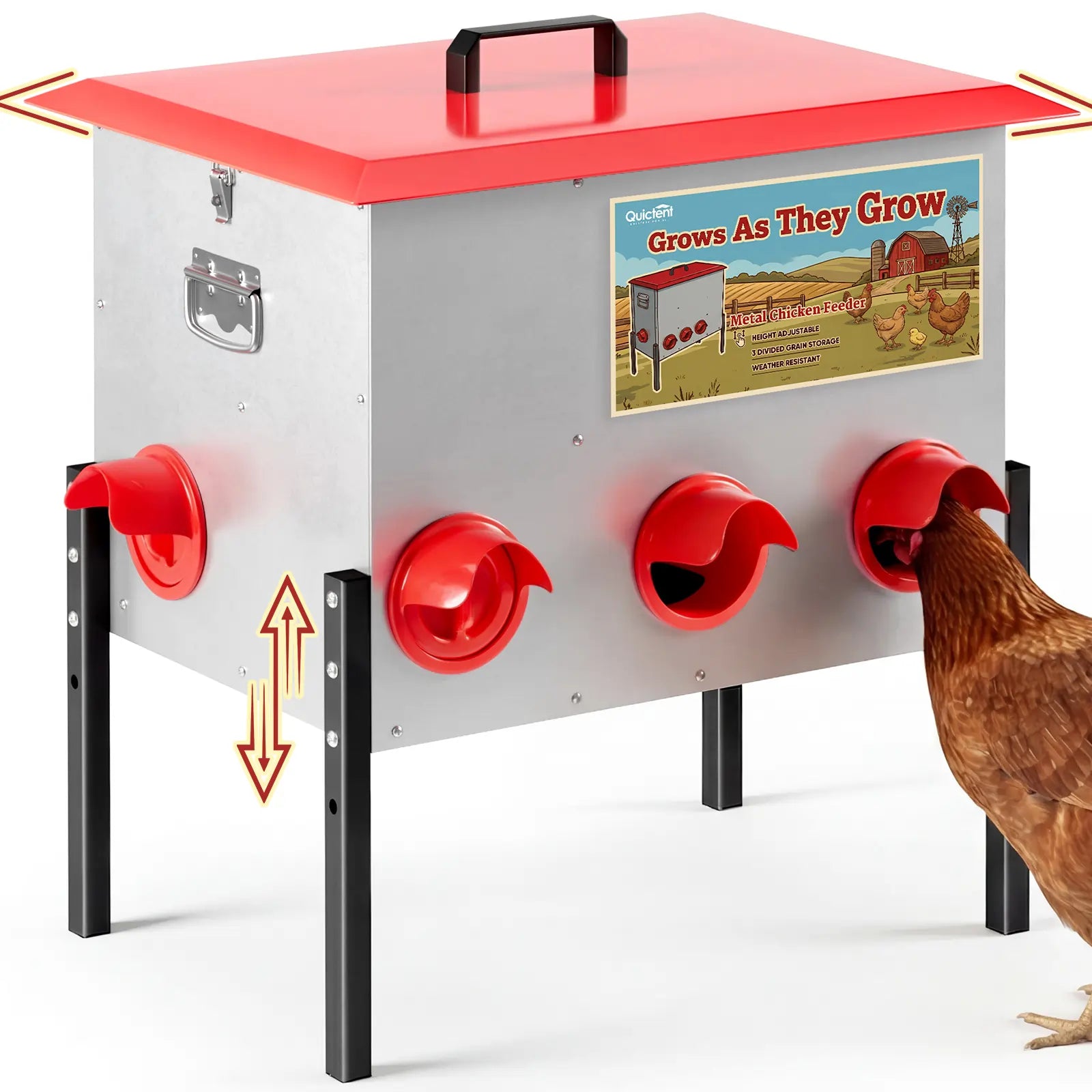 A metal chicken feeding#size_50-80 lbs
