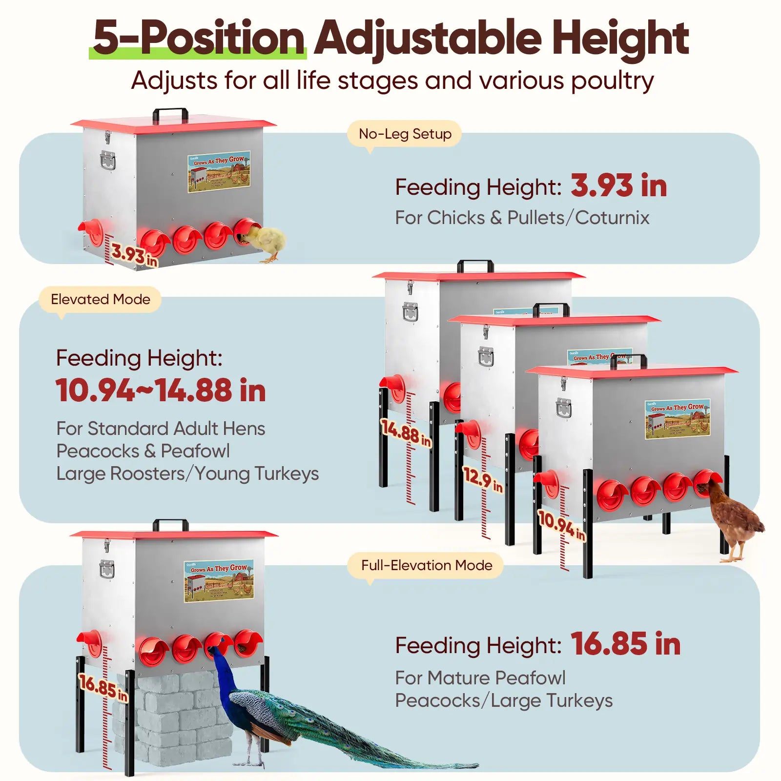 5-position adjustable poultry feeder in different heights#size_100-140 lbs