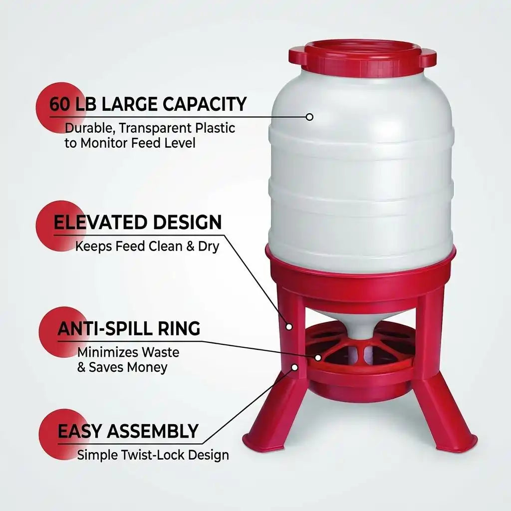 Quictent Plastic Dome Gravity Feeder