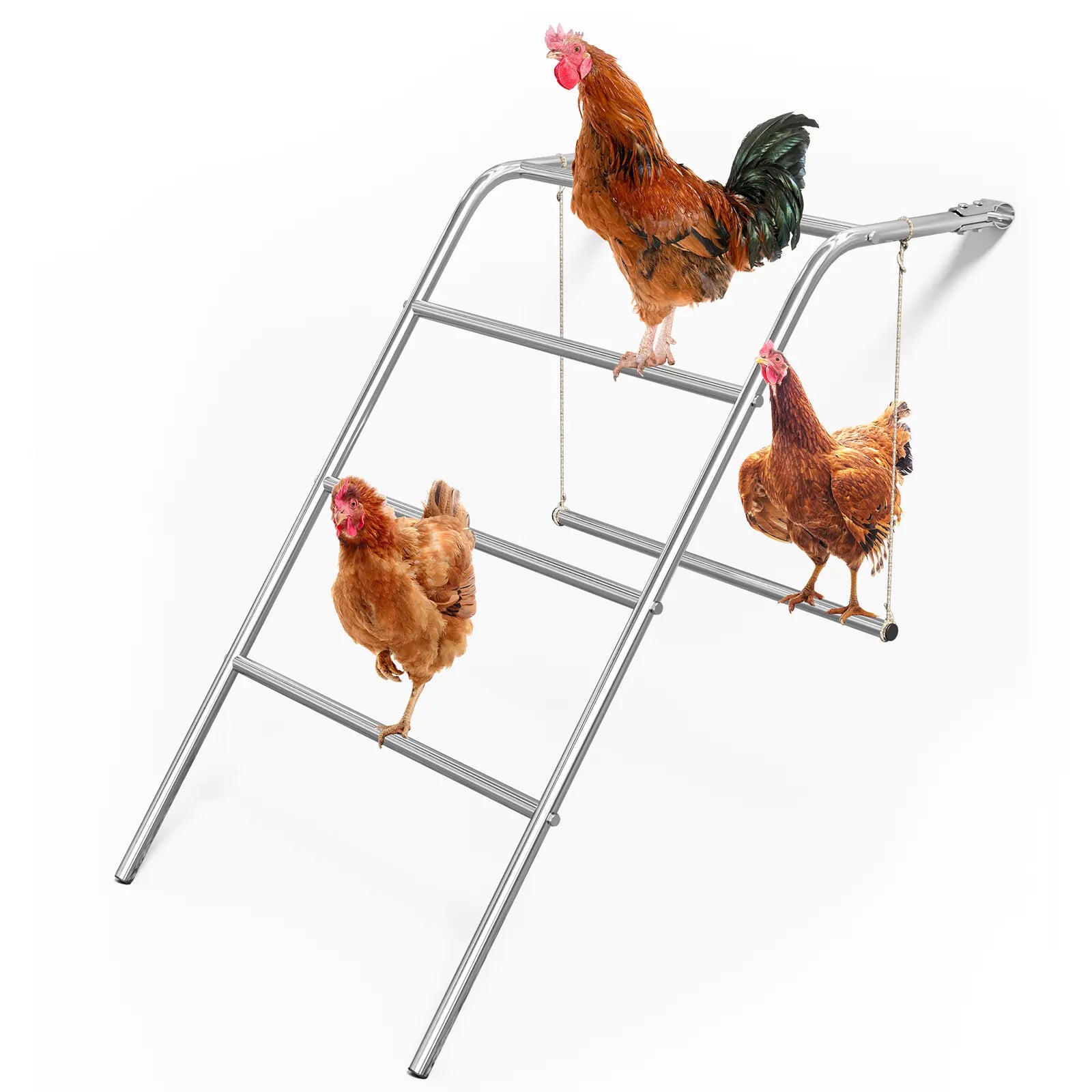 Metal Roosting Bar for Chicken Coop Run