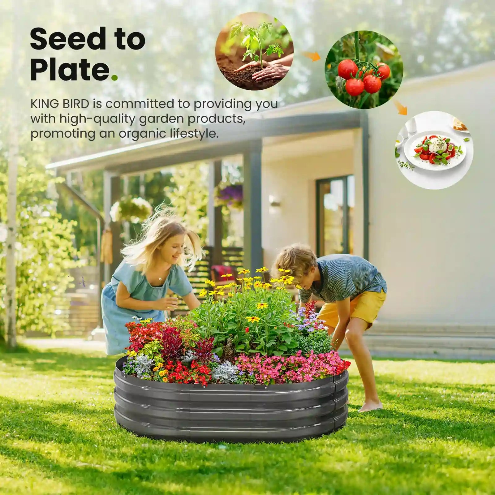 KING BIRD Screwless Dark Grey Raised Garden Bed 4x3x1ft seed to plate#size_4x3x1ft (2pcs)