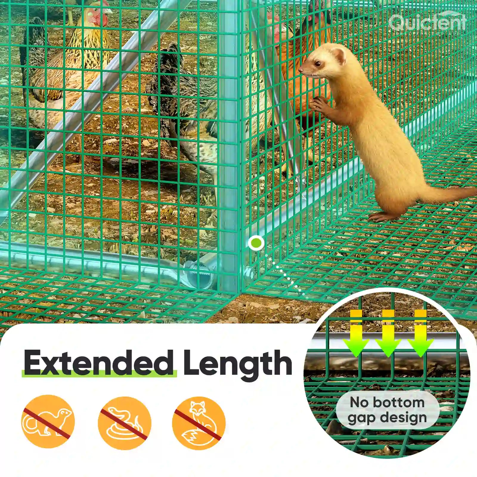 Extended Length#size_12x9ft w/Extended Wire