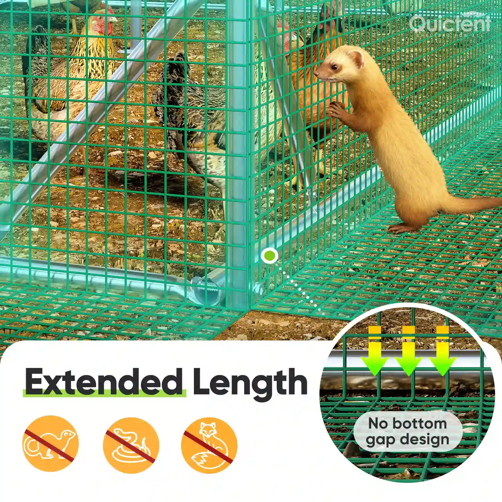 Extended Length#size_12x9ft w/Extended Wire+Roost Poles