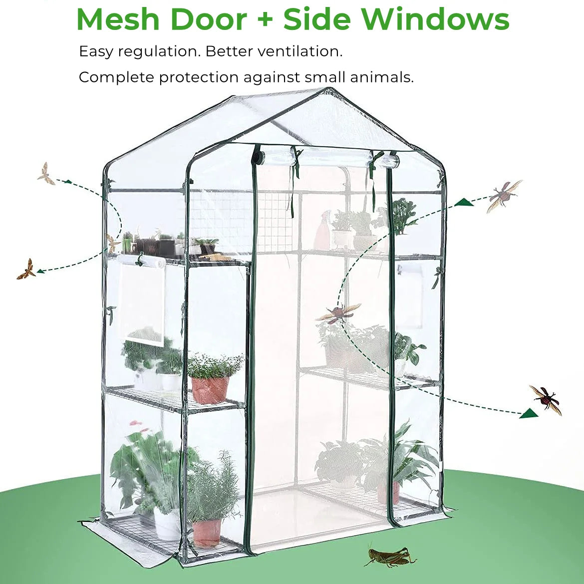 1 PE Door and 1 Screen Door#color_clear