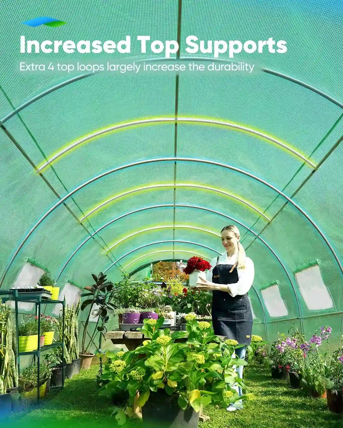 Increased top supports#color_25ft-Green