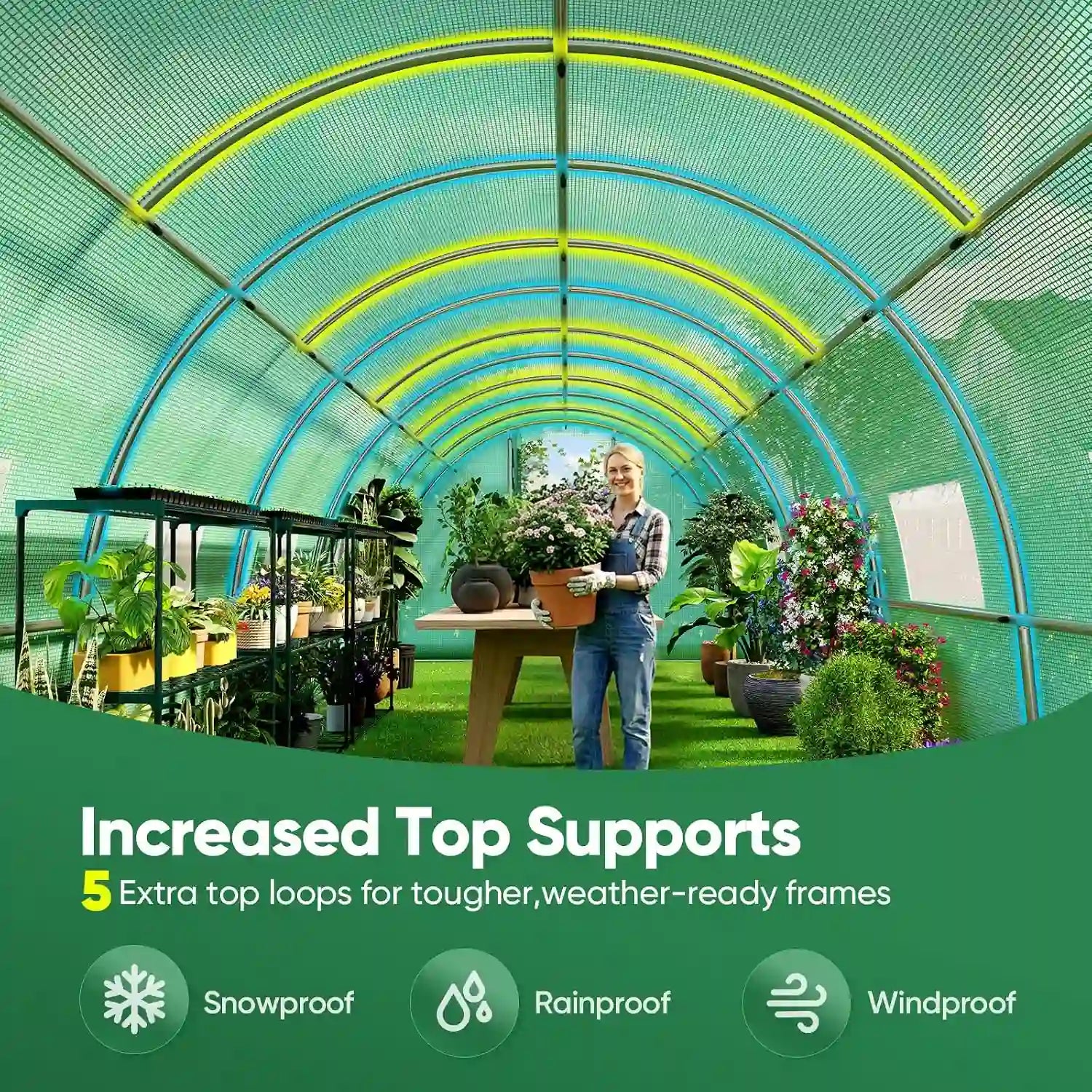 Increased top supports#color_25ft-Green