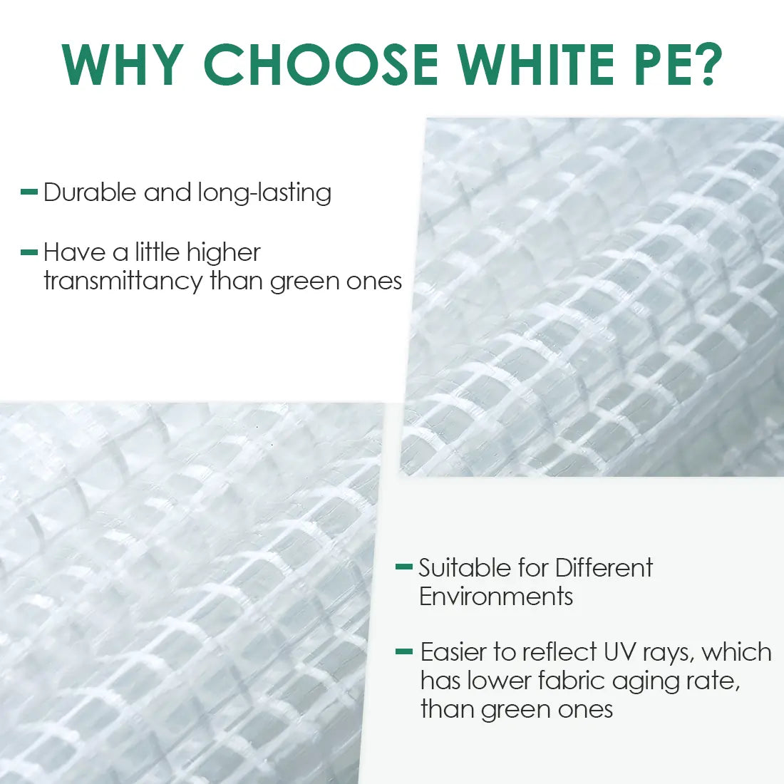 why choose white PE#color_white