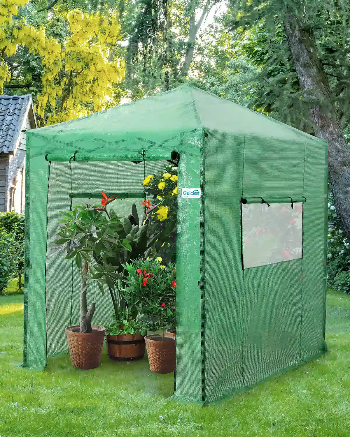 8' x 6' Walk-in Greenhouse#color_green