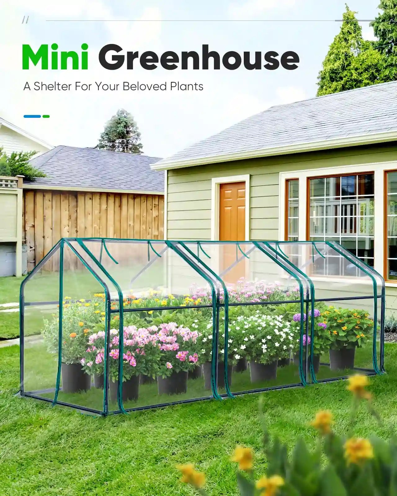 95x36x36 small greenhouse on grass#color_clear