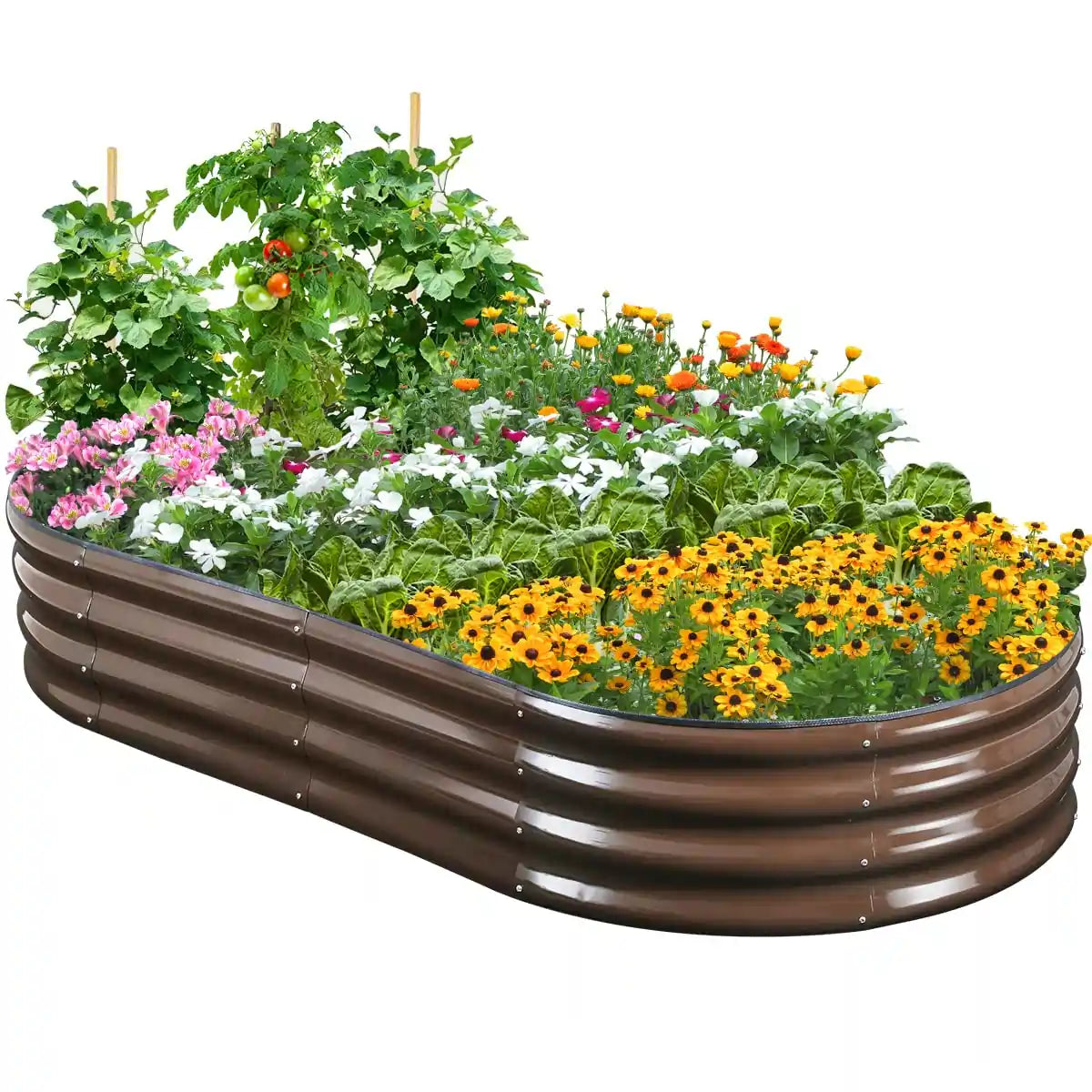 6' x 3' x 1' Oval Galvanized Raised Garden Bed#color_brown