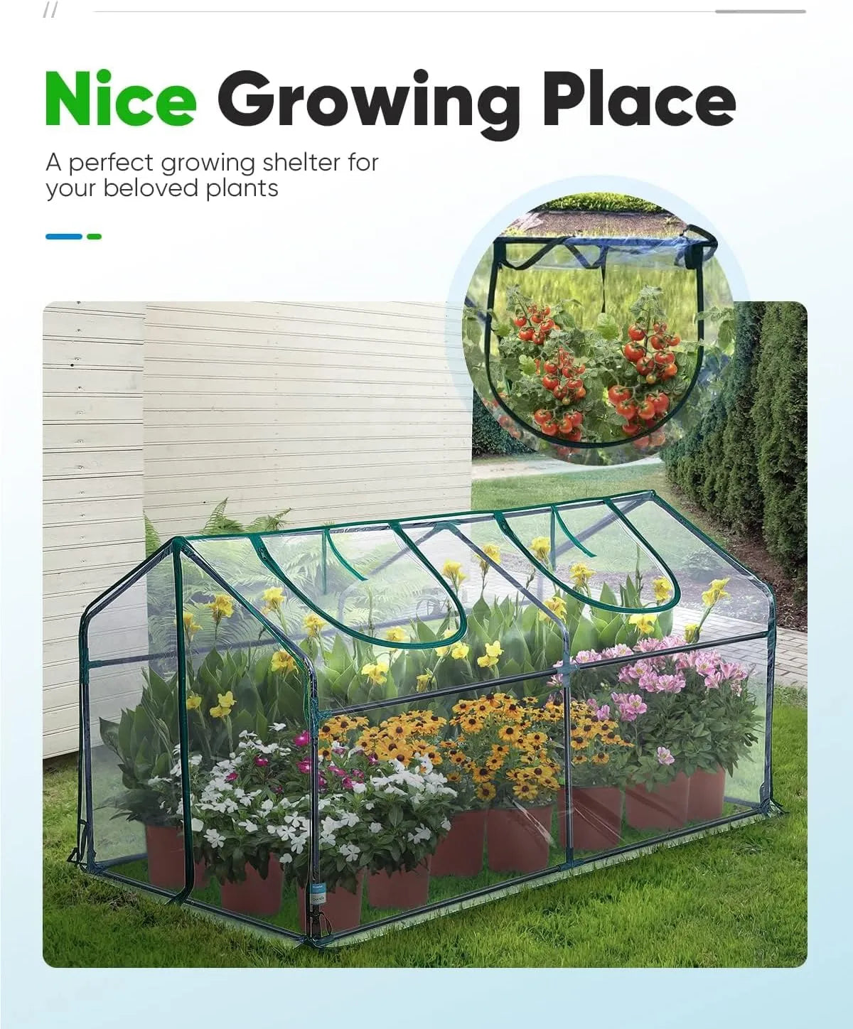 convenient straps for clear greenhouse#color_clear