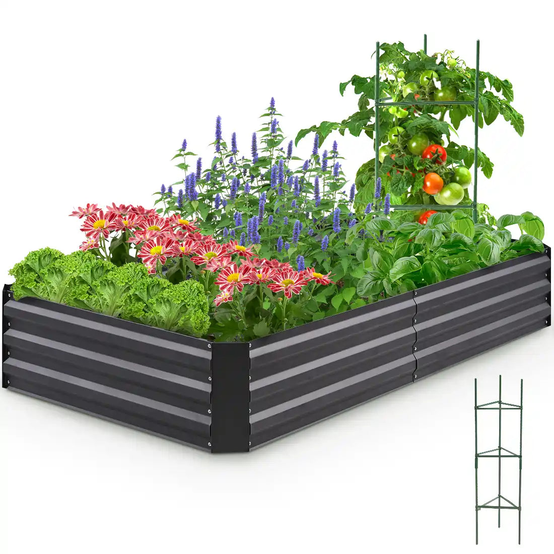 garden bec and plant support#size_6x3x1ft