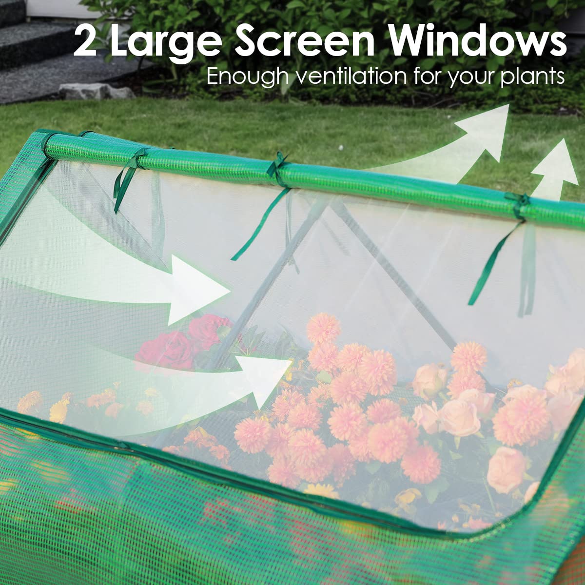 2 large screen windows#color_green
