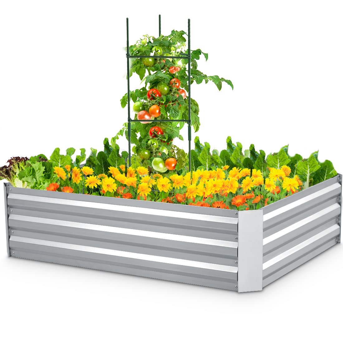 silver 4x3x1ft garden bed#size_4x3x1ft