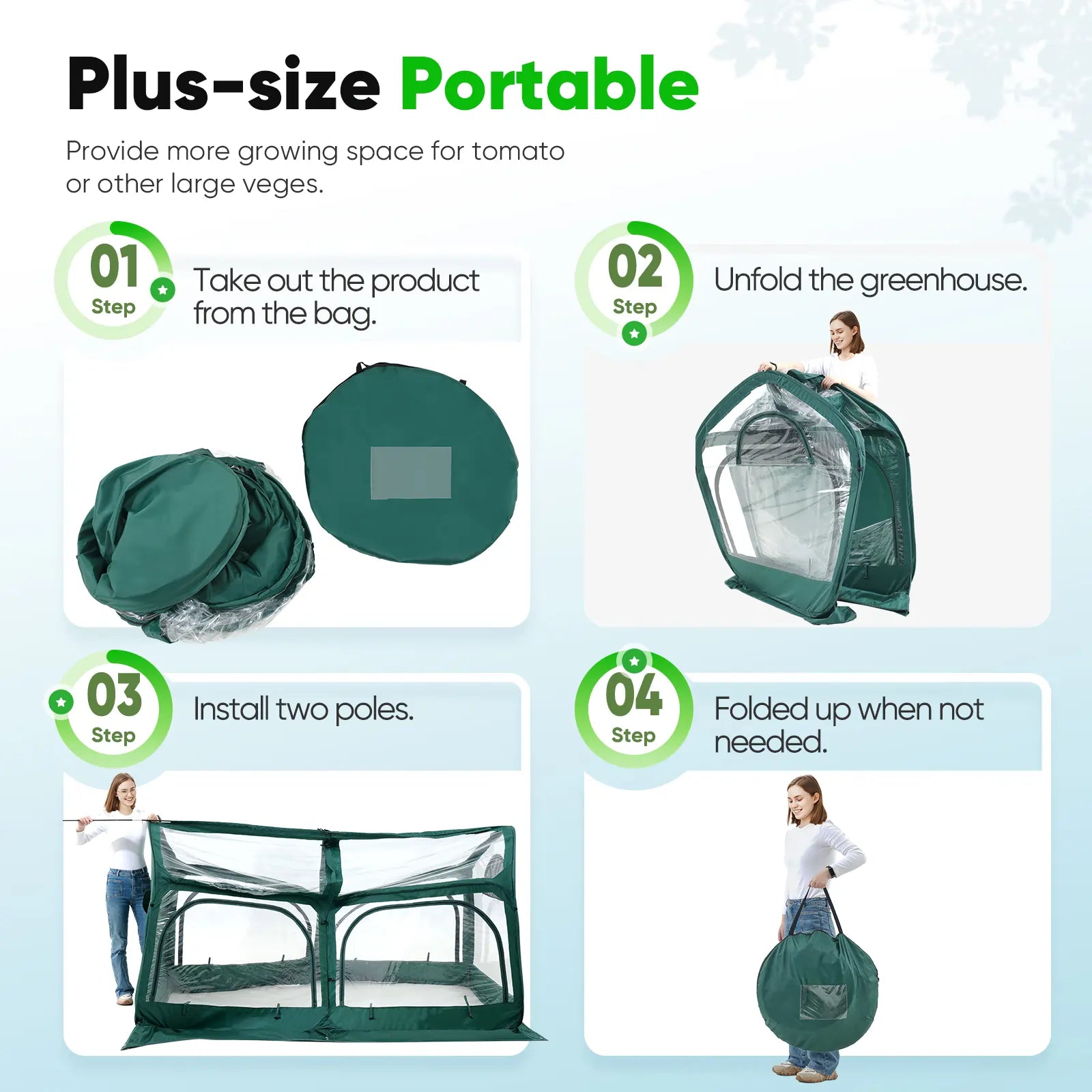 easy to set up#color_green