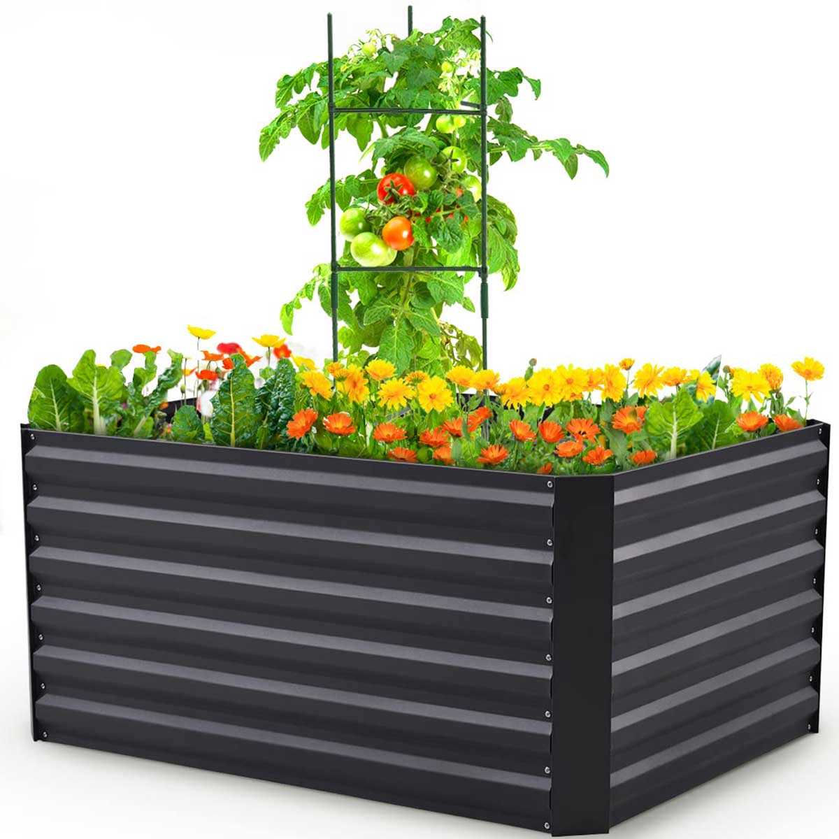 4x3x2 garden bed#size_4x3x2ft