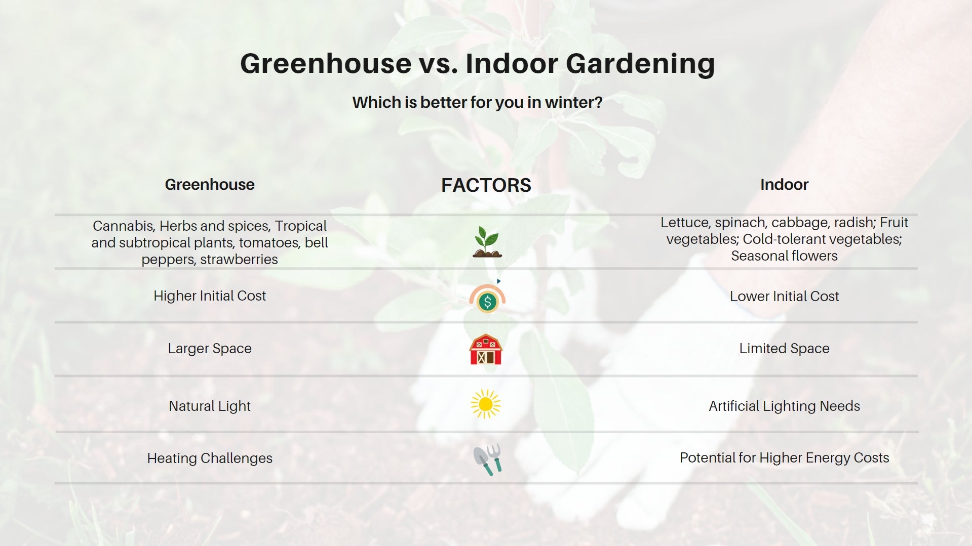 Greenhouse vs. Indoor Gardening: The Ultimate Winter Growing Guide