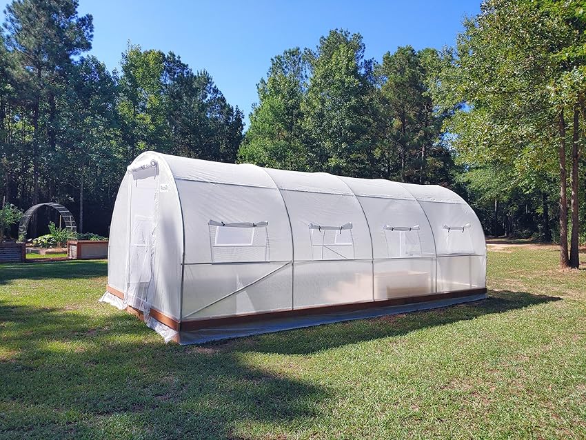 How to Keep Greenhouse Cool in Hot Summer Months