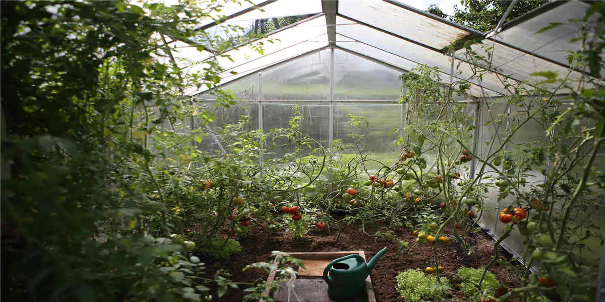 Greenhouse Humidity