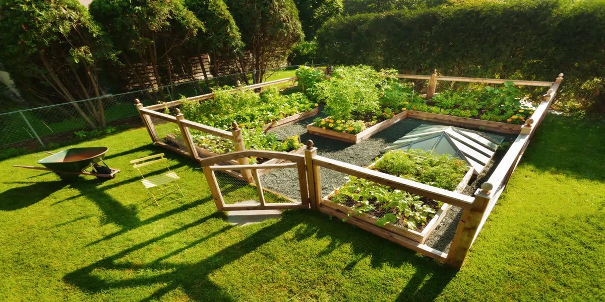 backyard raised garden bed