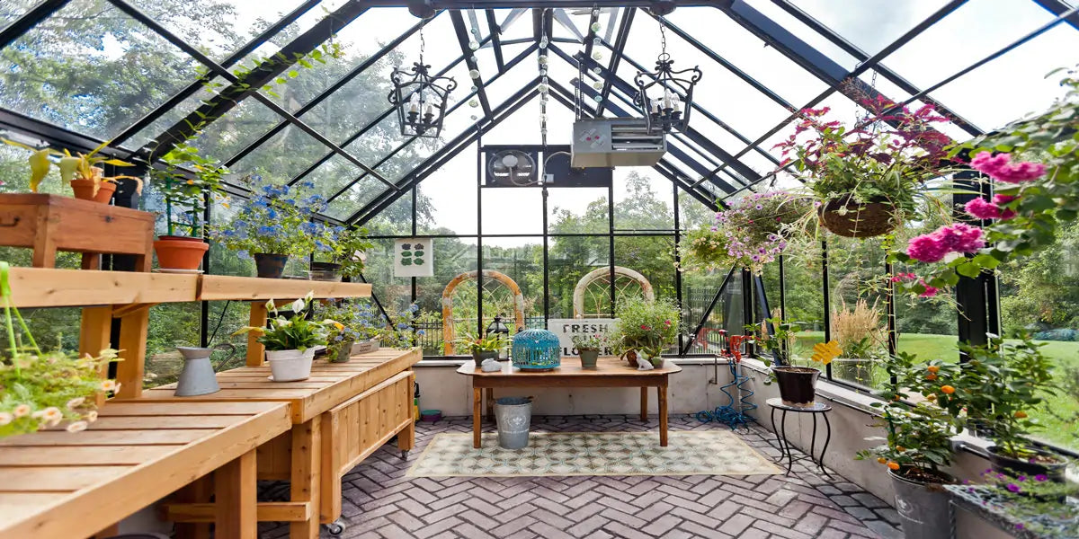 backyard transparent greenhouse