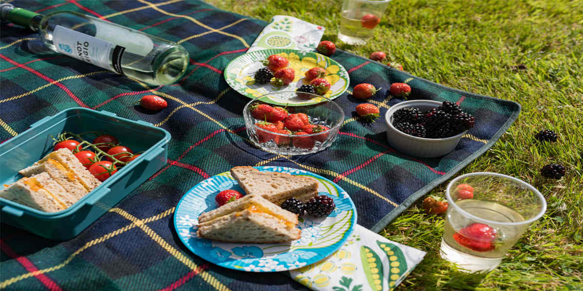 national picnic month