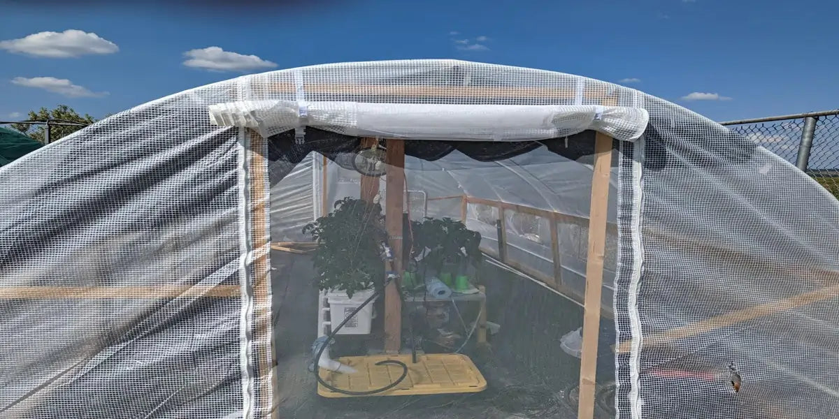 white greenhouse