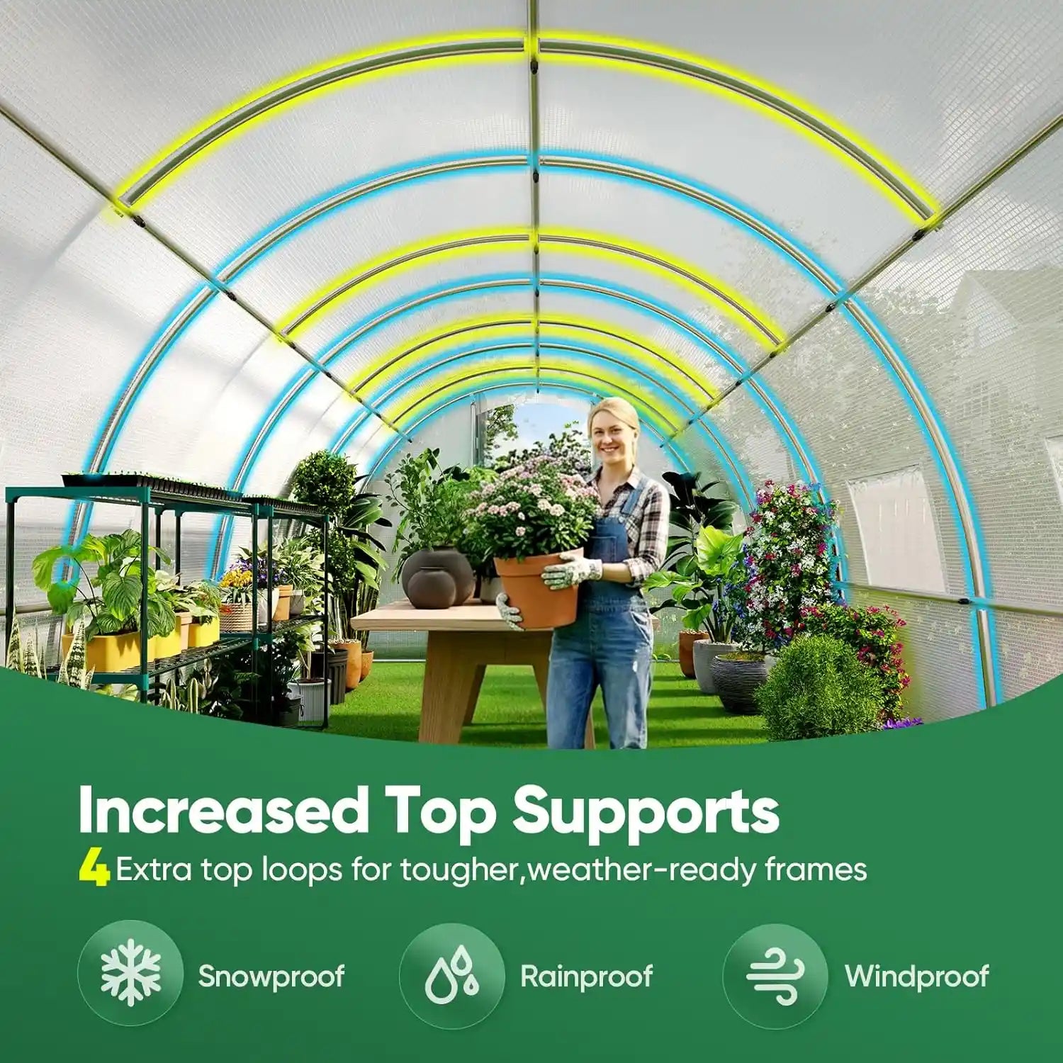 Increased top supports#color_20ft-White